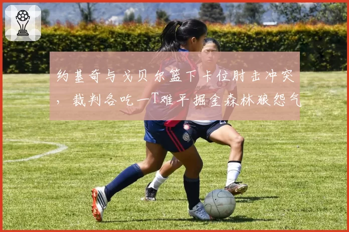 约基奇与戈贝尔篮下卡位肘击冲突,裁判各吃一T难平掘金森林狼怨气?