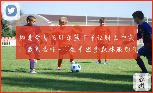 约基奇与戈贝尔篮下卡位肘击冲突，裁判各吃一T难平掘金森林狼怨气？