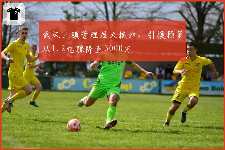 武汉三镇管理层大换血，引援预算从1.2亿骤降至3000万